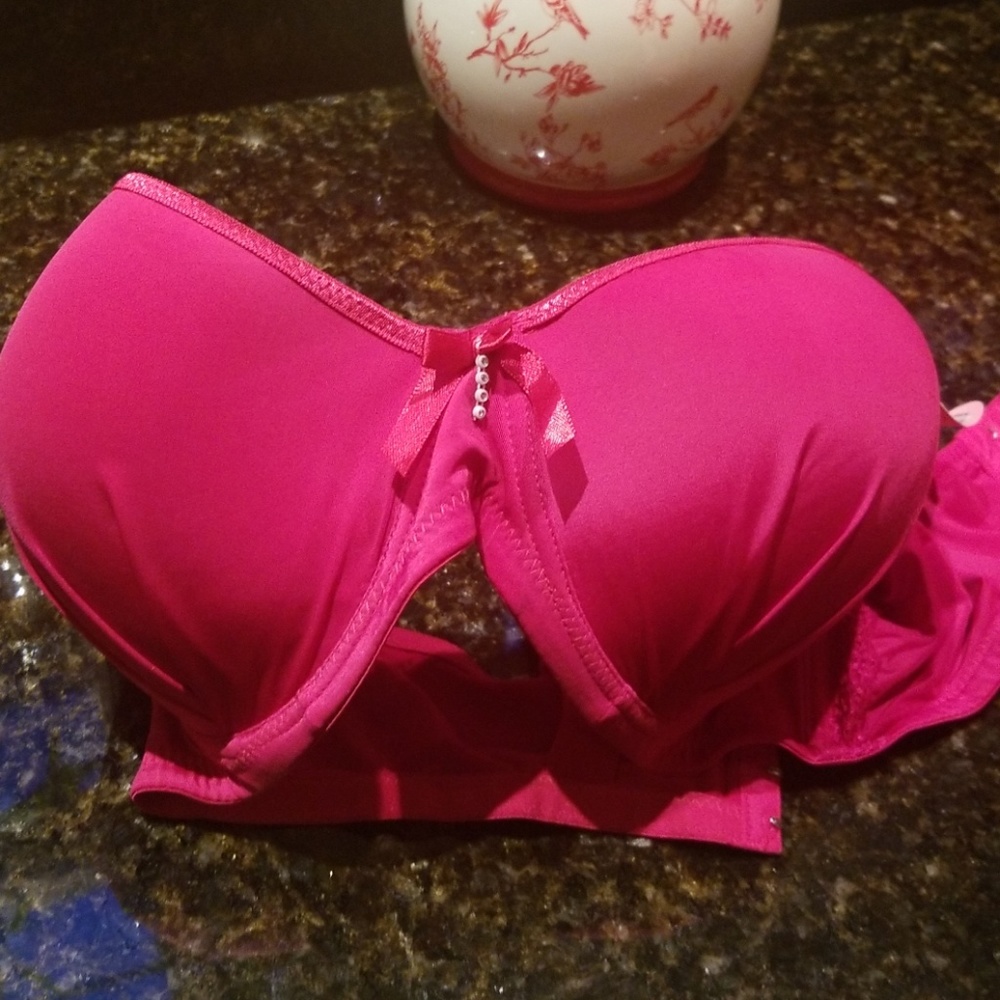 42DD Angelina Bra Pink NWT